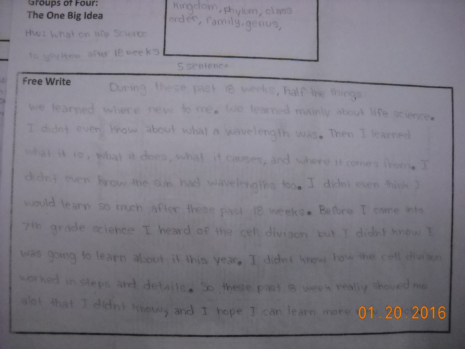 How to write an essay about a poem video games