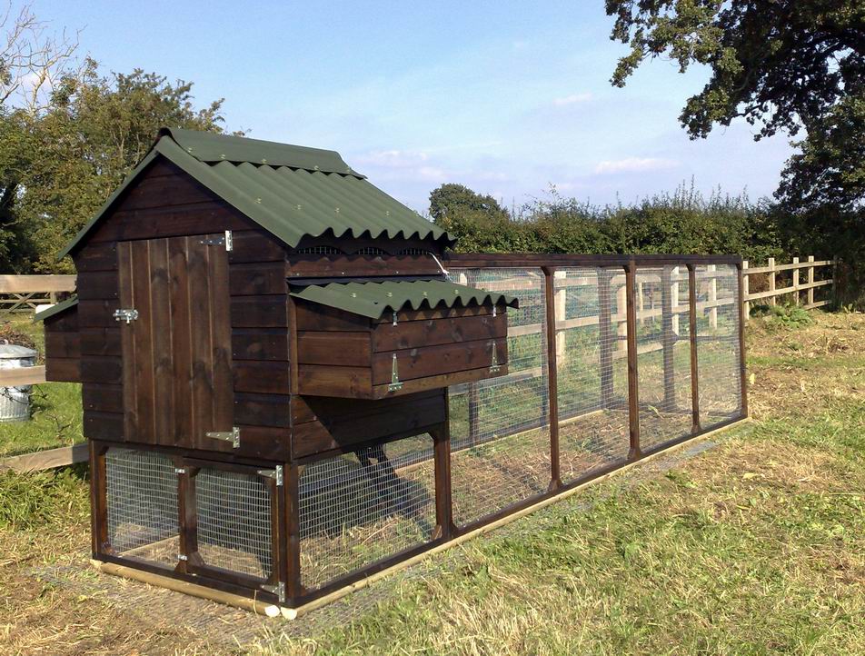 Large Chicken Coops