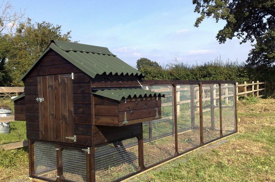 Animals & Pets: 2 Options for Chicken Runs and Coop