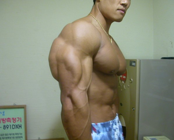 Asian Bodybuilders 40