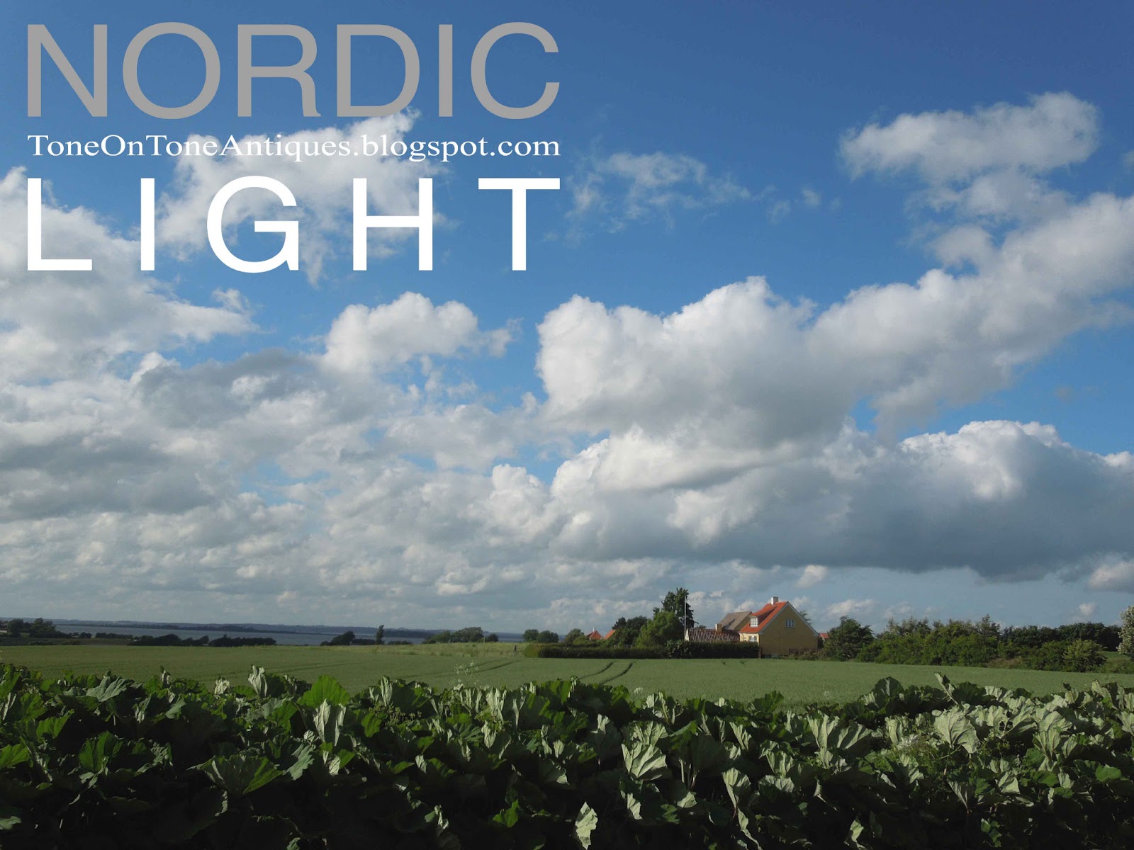 Over the years, Tom and I have