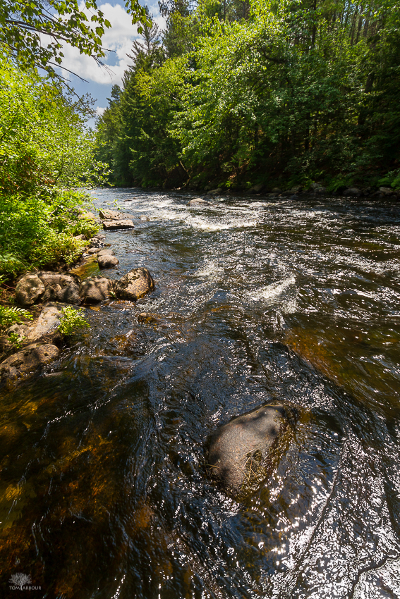 The Ohio Nature Blog The Crooked River, Maine