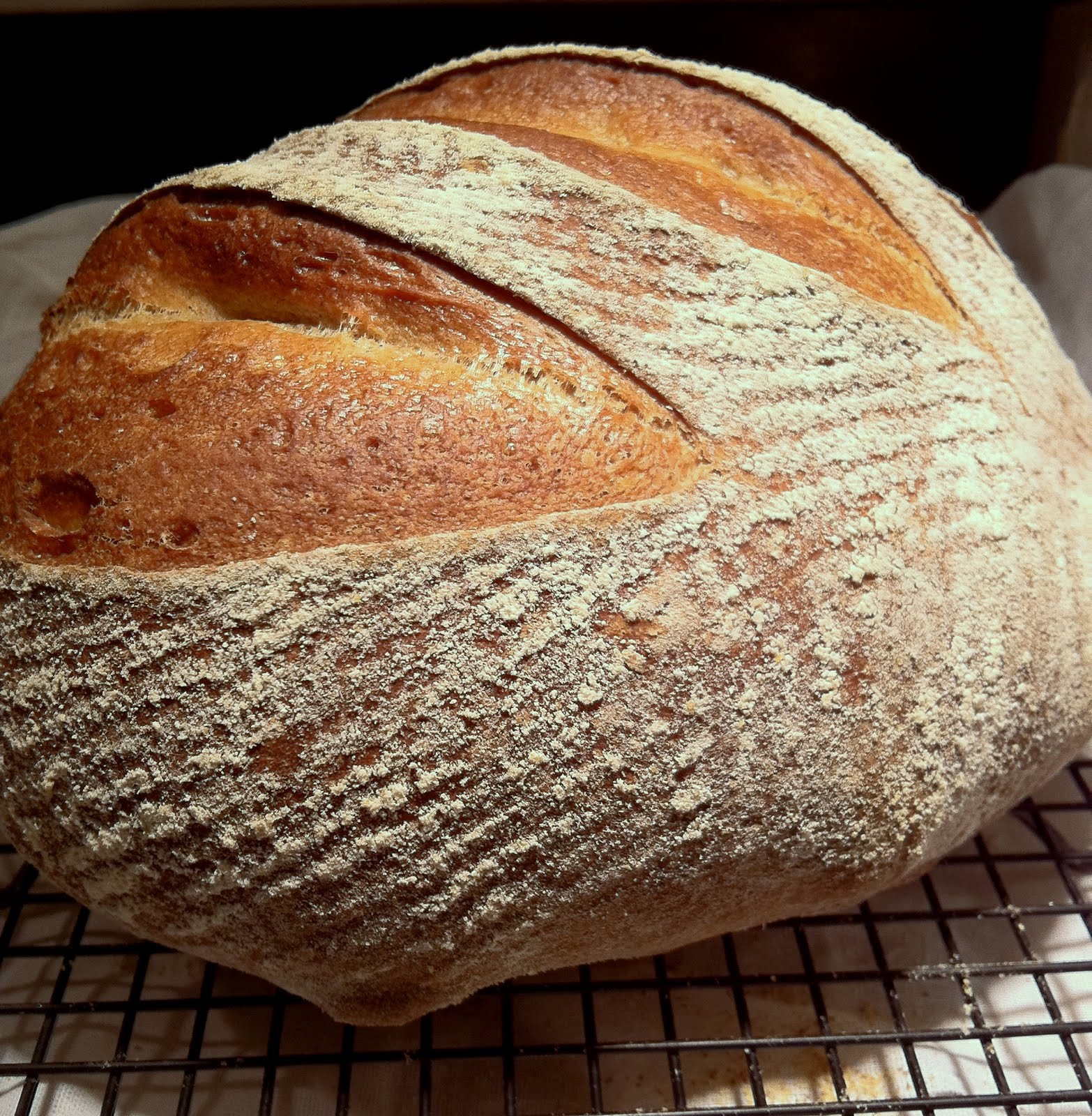 Whole Wheat Boule 2 The Fresh Loaf