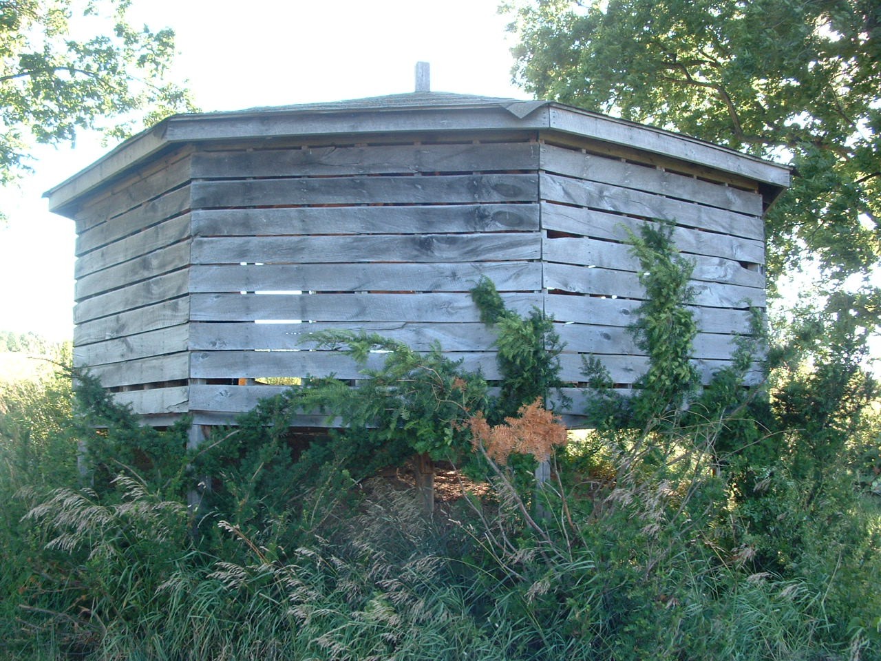Ohio Microfarm The Bee Barn A European style apiary