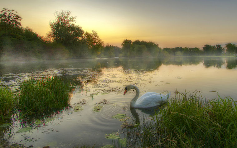 Madrugada en el lago - Morning on the lake by Boris Frkovic