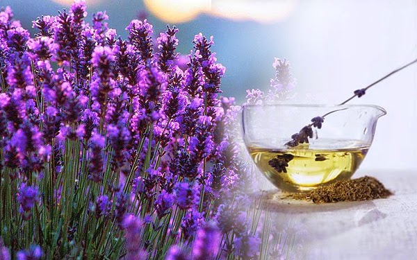 Az aromaterápia varázslata
