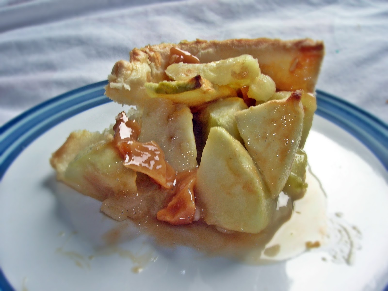 Cake Of The Week Apple Fudge Tart (Official Caramel Apple Slice Attempt 1)