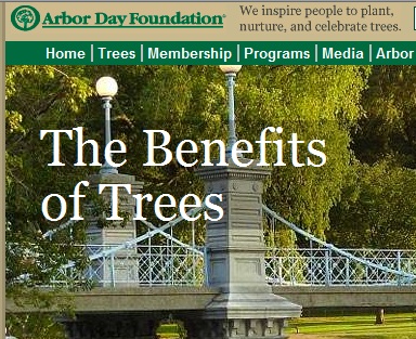 Florida Native Plant Society Blog: Arbor Day Foundation ...