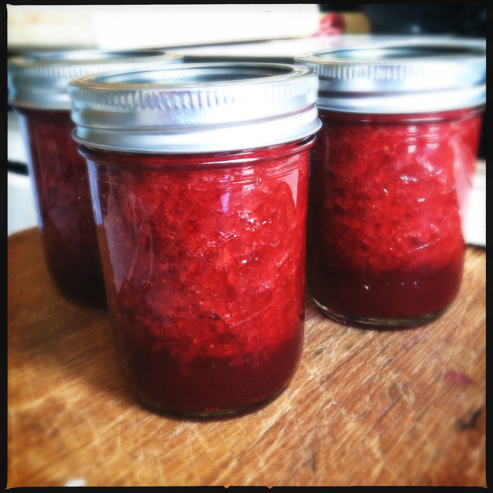 CanCan Canning without Sugar
