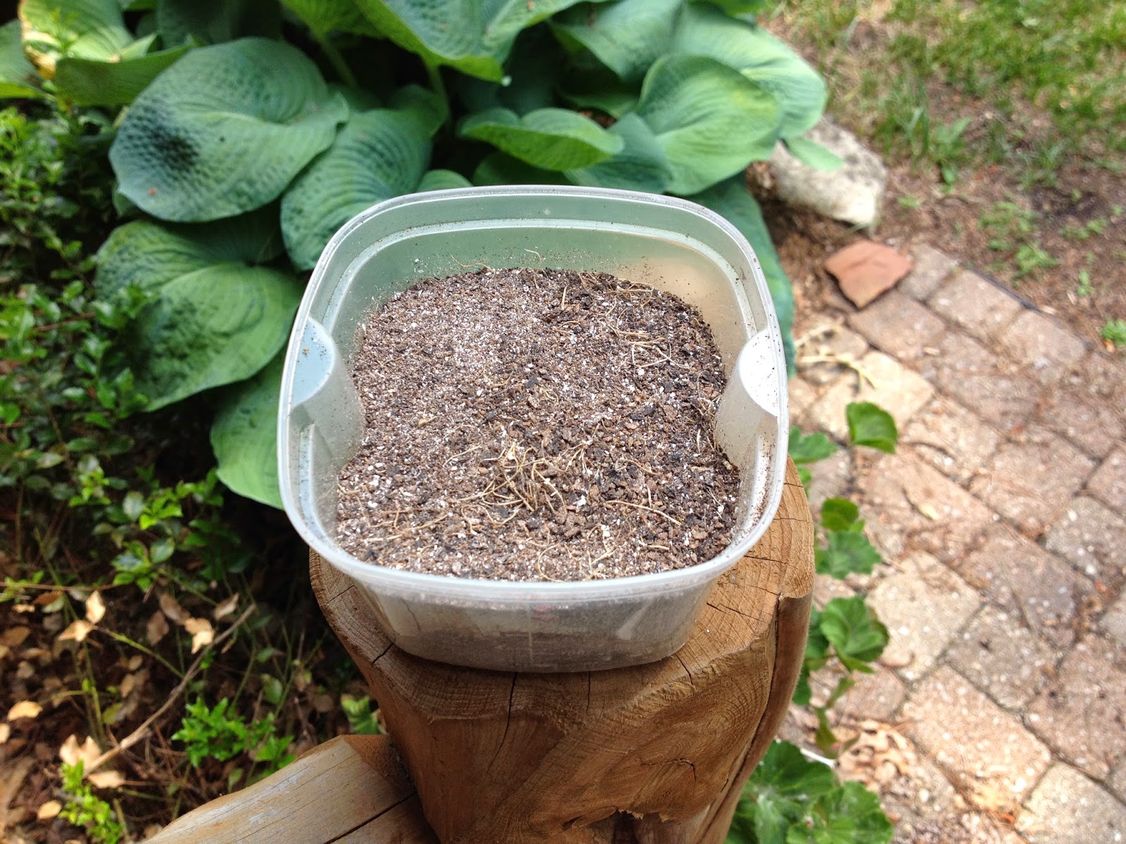 The Cabin Countess Banana Peel Fertilizer