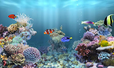  aniPet Marine Aquarium HD v1.0 Apk App