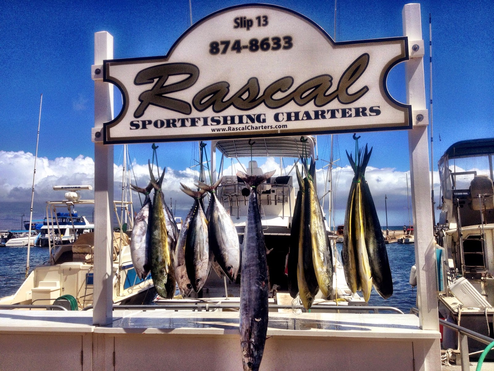 Maui sport fishing charters caught lots of fish this week! Tickets and reservations for Maui sport fishing charters