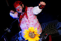 Locura Balkanica en Xalapa 8 ubik2