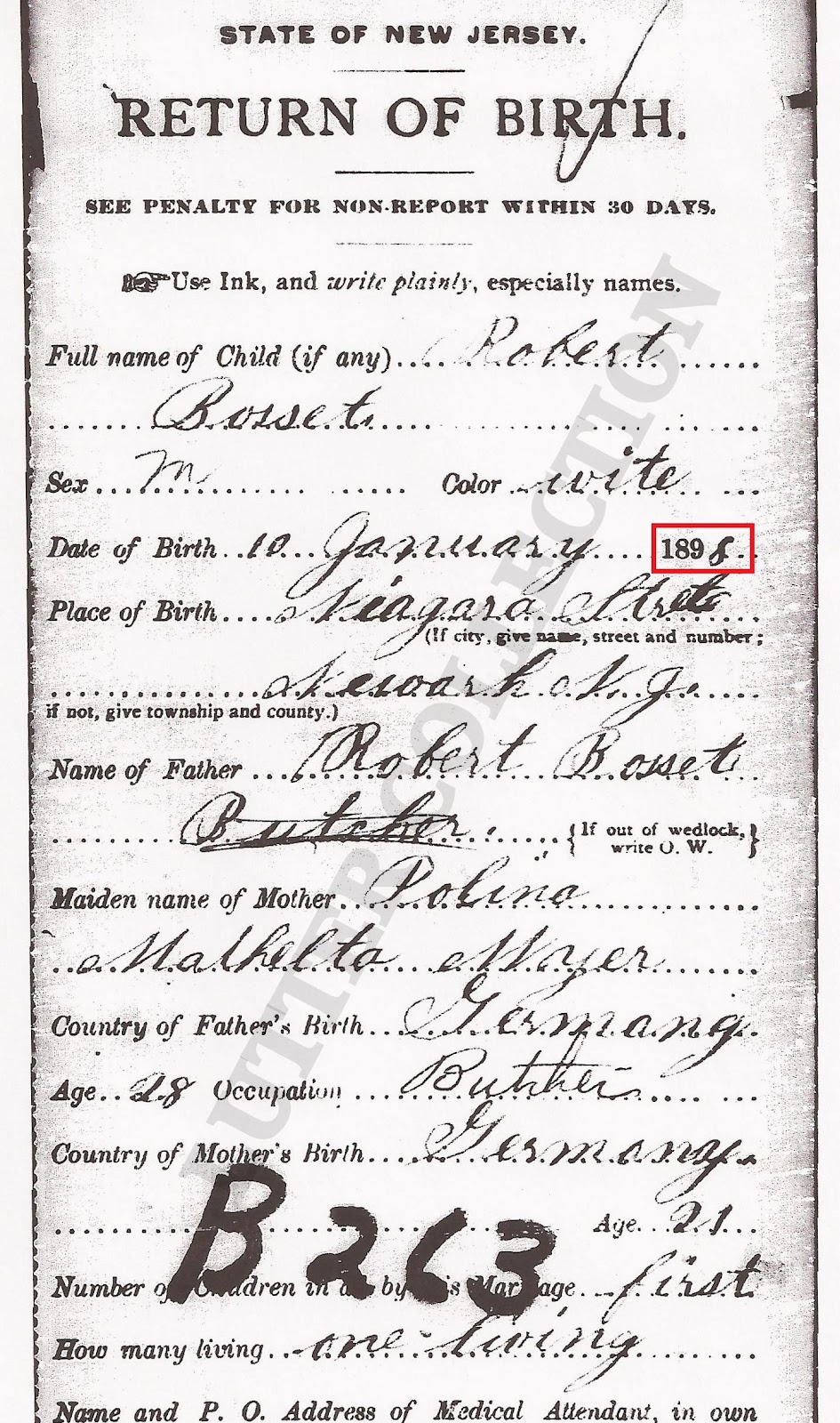 Family History Research by Jody Lutter New Jersey Birth Index Online