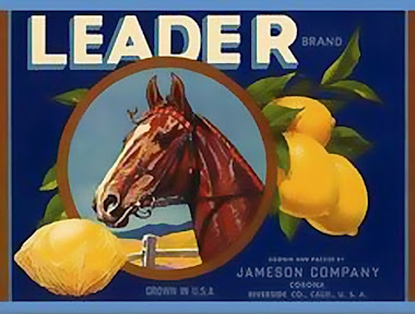 Leader Brand