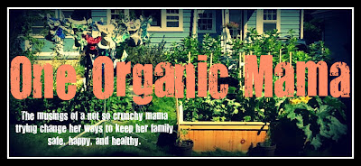 One Organic Mama