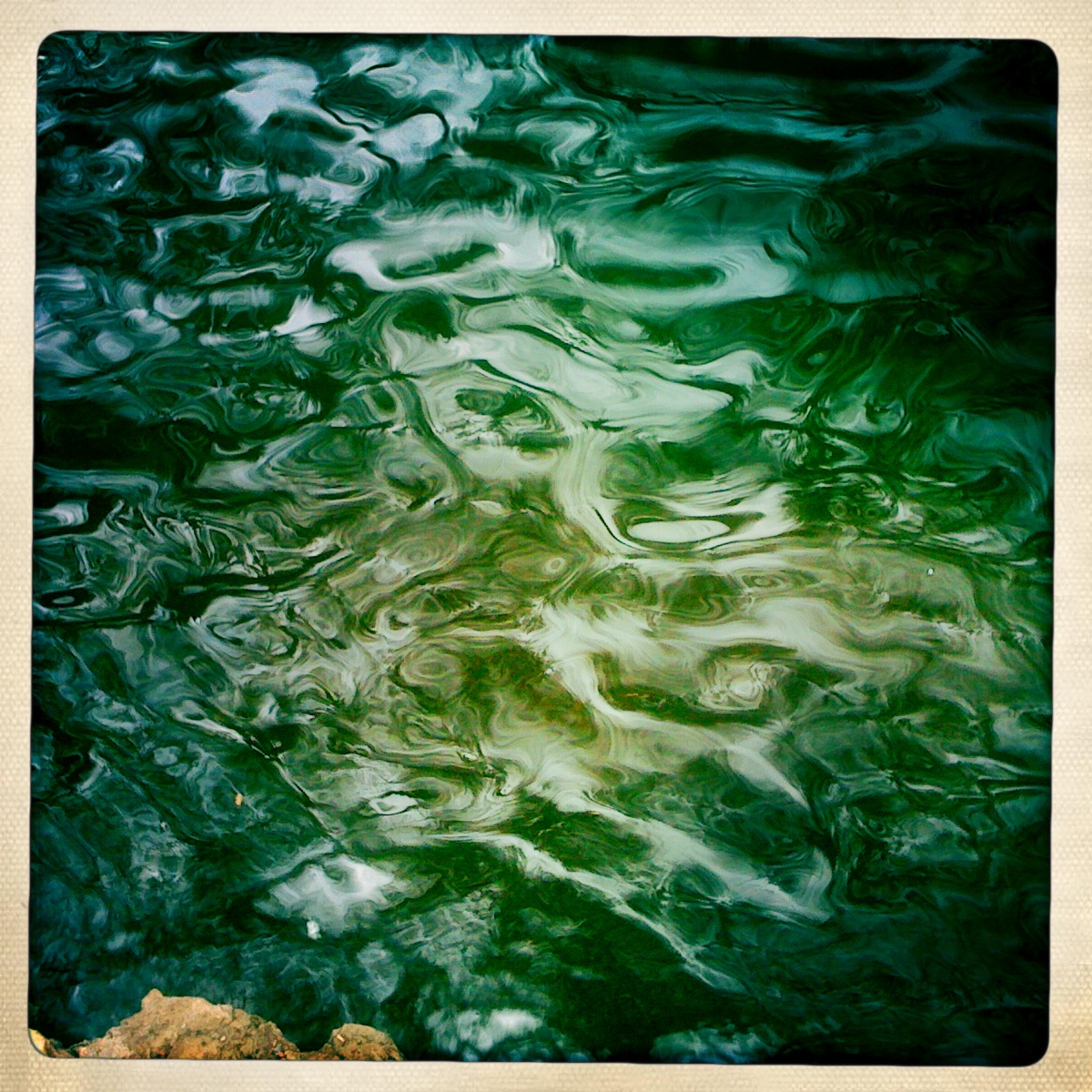 The Duck Pond in Huntsville, Texas