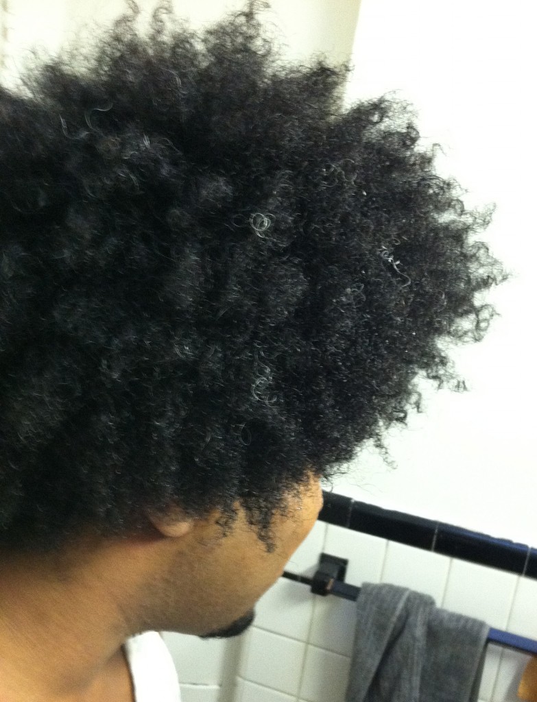 The Definition Of Natural Hair Curlynikki Natural Hair Care