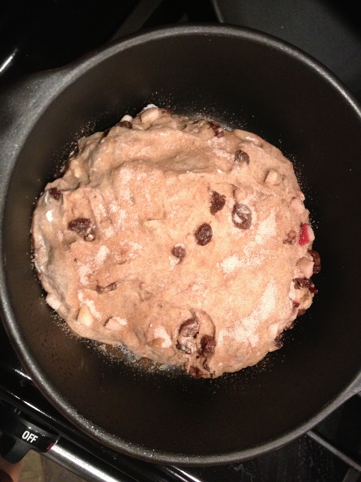 Whisking Through Life Cinnamon Apple Raisin Dutch Oven Bread