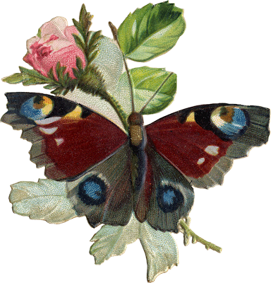 http://1.bp.blogspot.com/-WaEdZD5VhRg/Un4KuBCaH0I/AAAAAAAAdPs/bwwel-FCmVM/s320/ie154_butterfly1cob.png