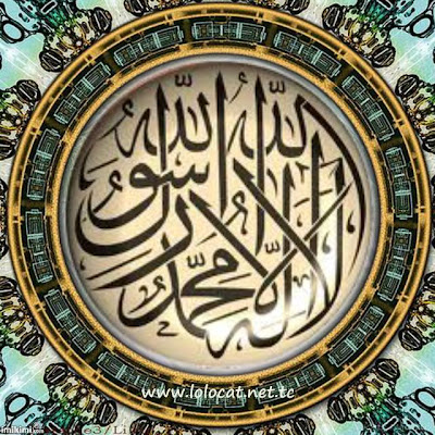 Mu Faculty Site د نوال الدسوقي