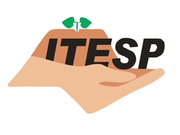 Edital e Inscrição | Concurso Público Fundação ITESP
