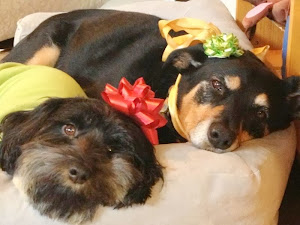 Bella (Now Ruby - on left) hangs out with her best friend Lola