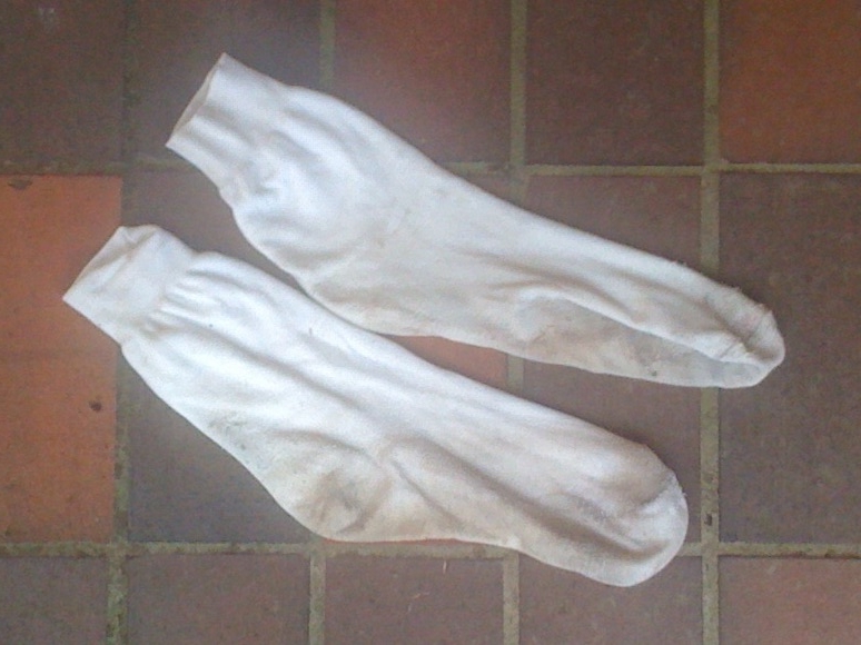 Northern Scrivener I'm Running in the Rain