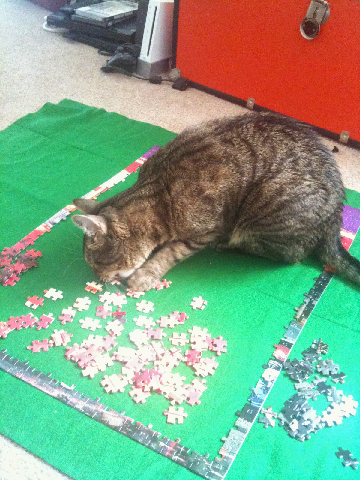 cat puzzle cat puzzle