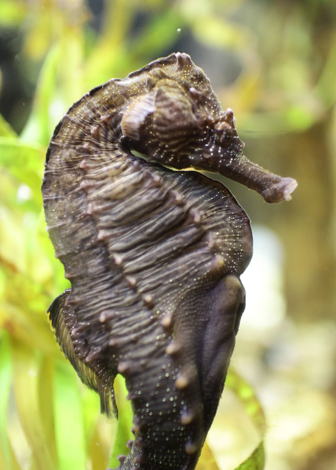 Exhibit Galleries Blog