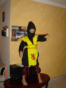 ninja guerrero