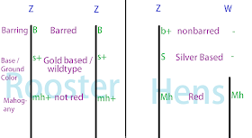 Reavis Ridge Poultry: Genetics for Dummies
