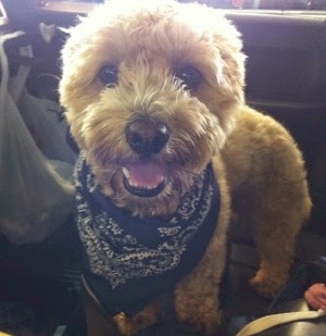 sudden random unprovoked violent