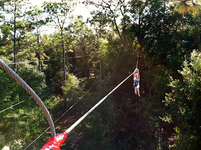 Tallahassee Museum Tree-to-Tree Adventure Zipline Tallahassee Museum Tree-to-Tree Adventure Zipline