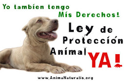 Proteccion animal...