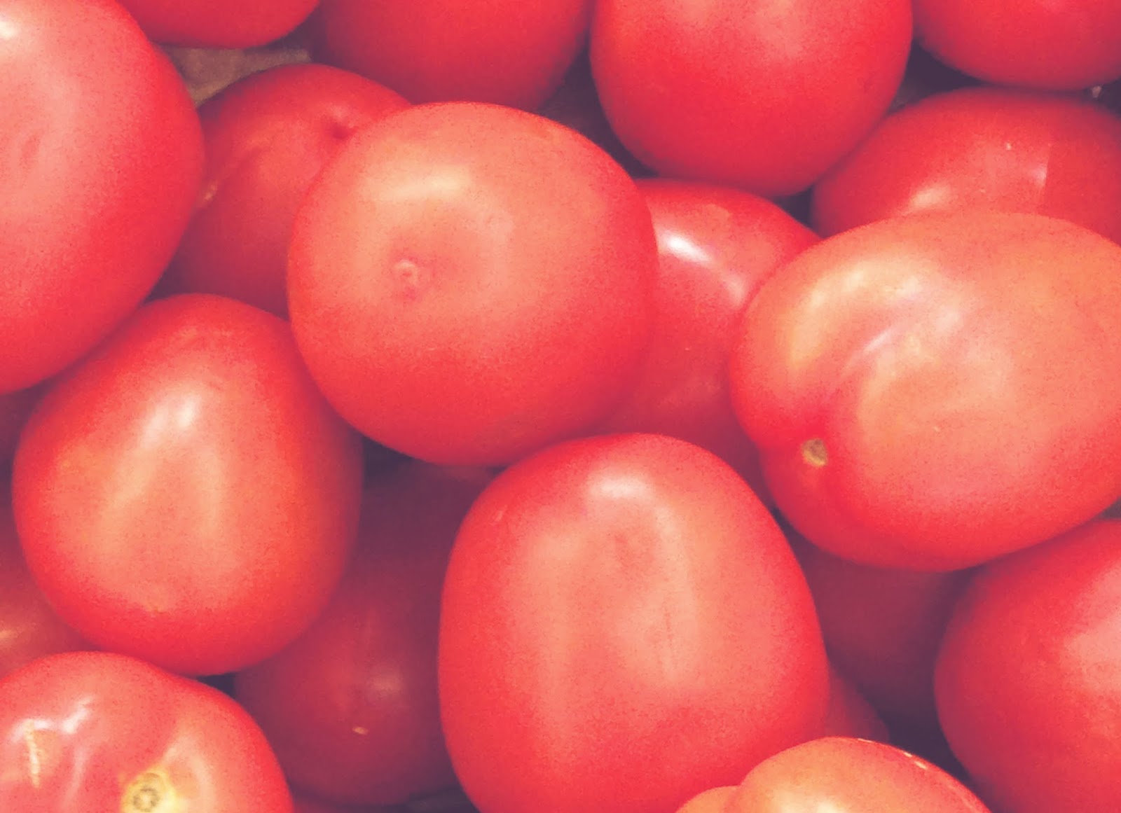 best panniers for grocery shopping