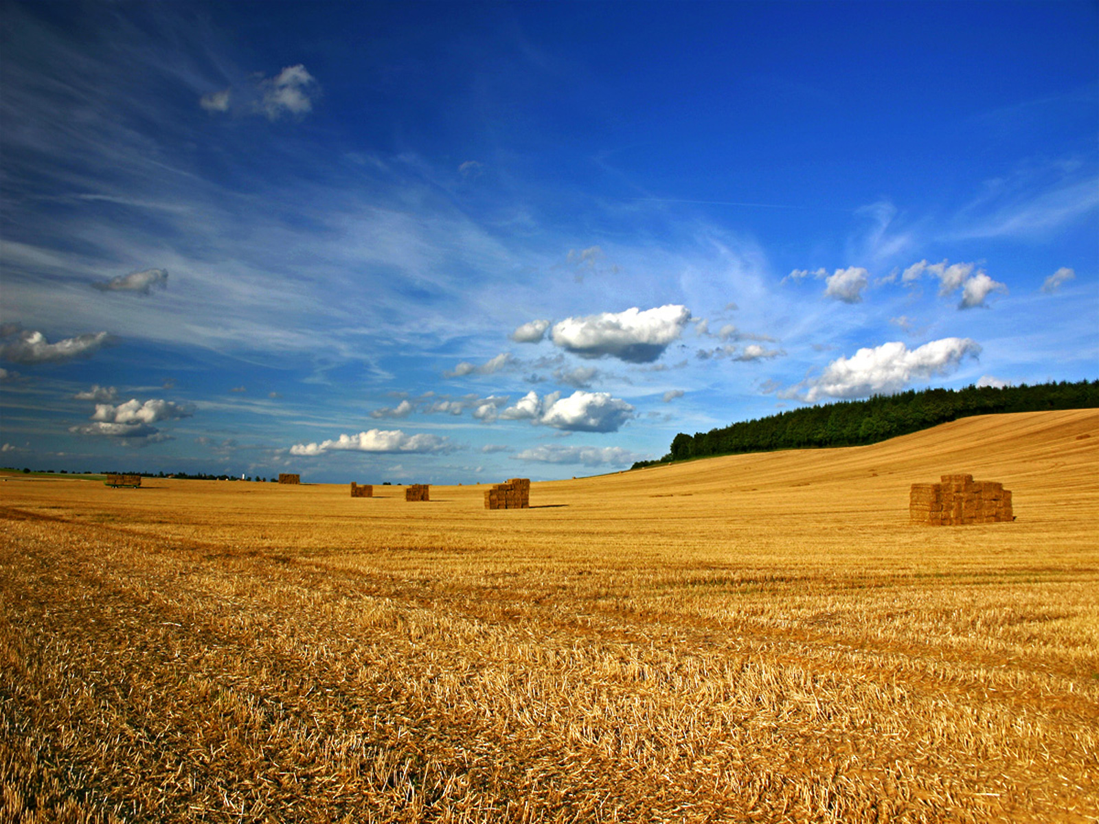 OtherHFR Gambar Pemandangan (Landscape) OtherHFR Gambar Pemandangan (Landscape)