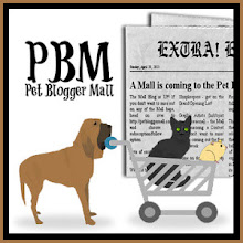 Pet Blogger Mall