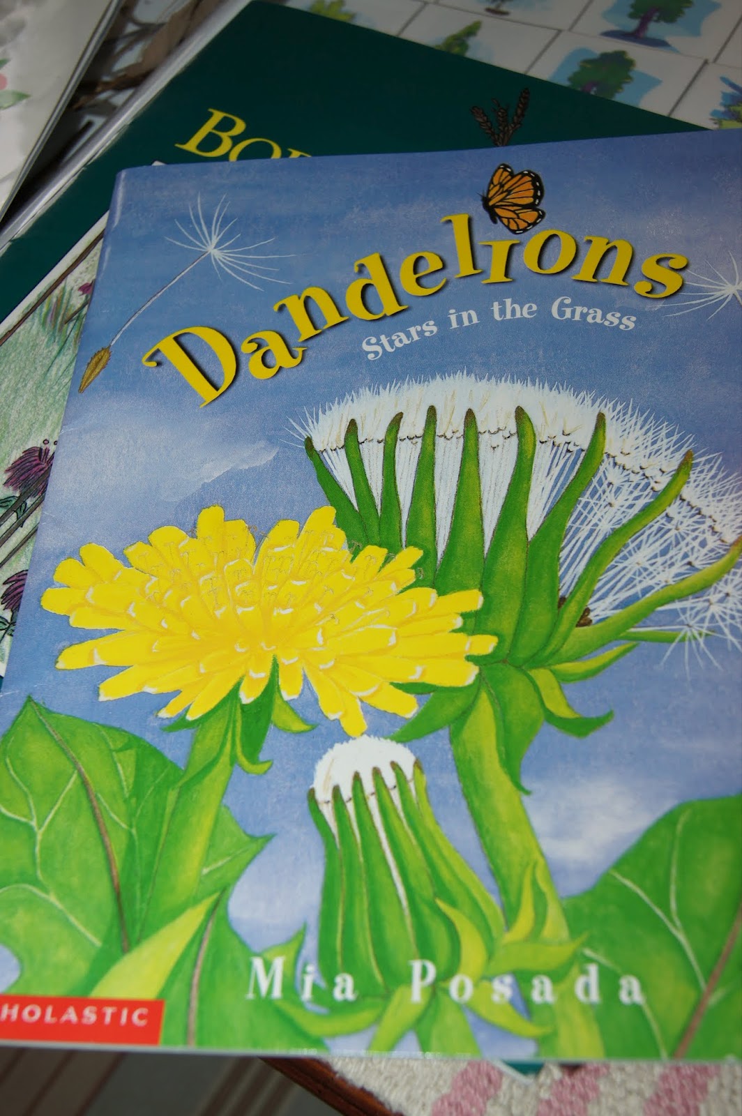 Botany 1 Montessori Botany Puzzle Work "Making Montessori Ours"