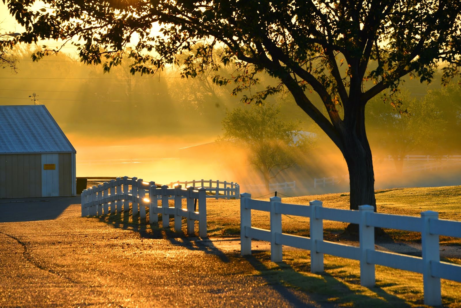 MORNINGS AT ELK CITY GOLF & C.C.