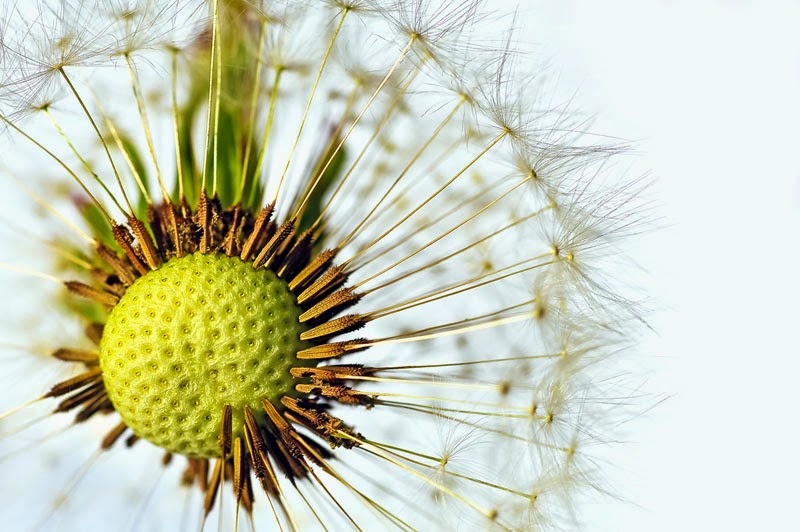 Bewusstseinswerke Februar 2015