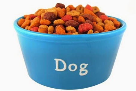 Makanan Yang Baik Untuk Anjing Peliharaan Cara Merawat Anjing