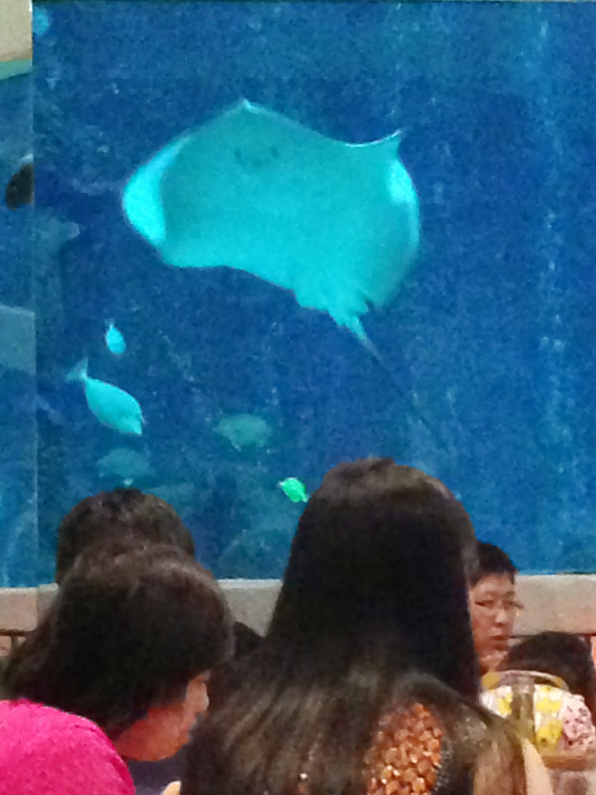 Frozen Kona: Hau’oli Makahiki Hou