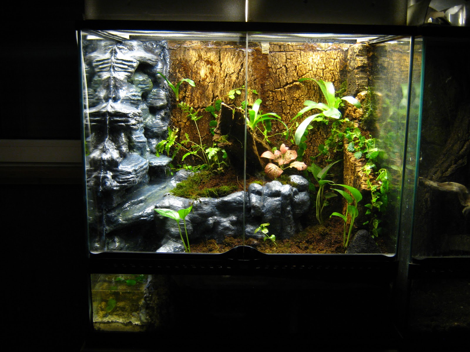 Exo terra construction, cement waterfall Dendroboard