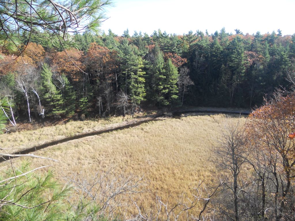 Trail Tripping Jones Creek New Trails!