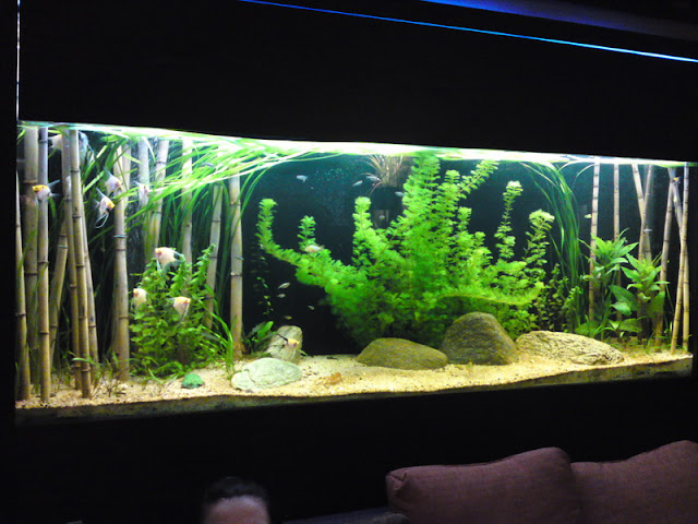 Bamboo Aquarium ~ Bamboo Craft Photo