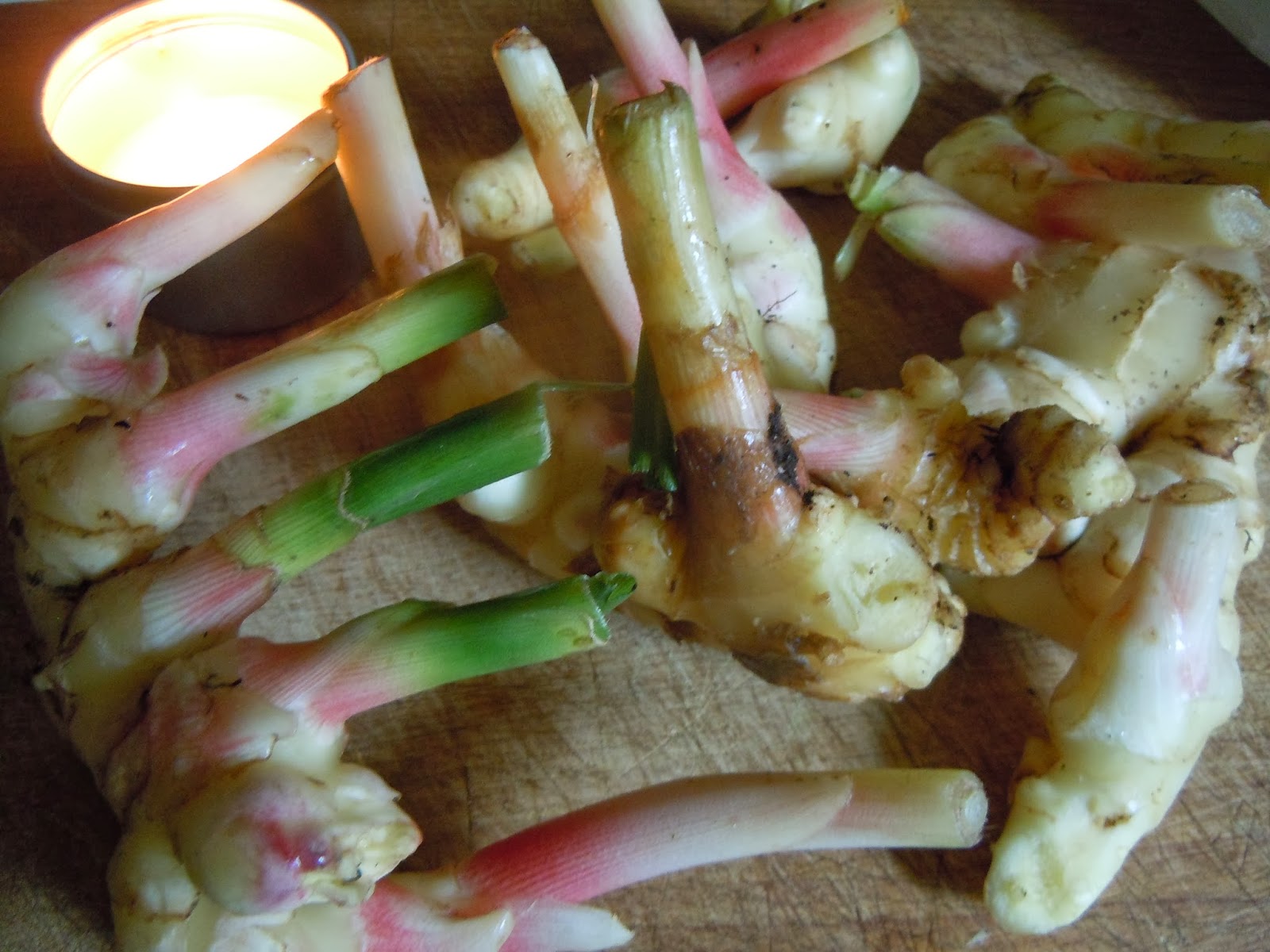 Dandelioness Herbals Ginger Lovers Unite! Medicinal and Culinary Uses