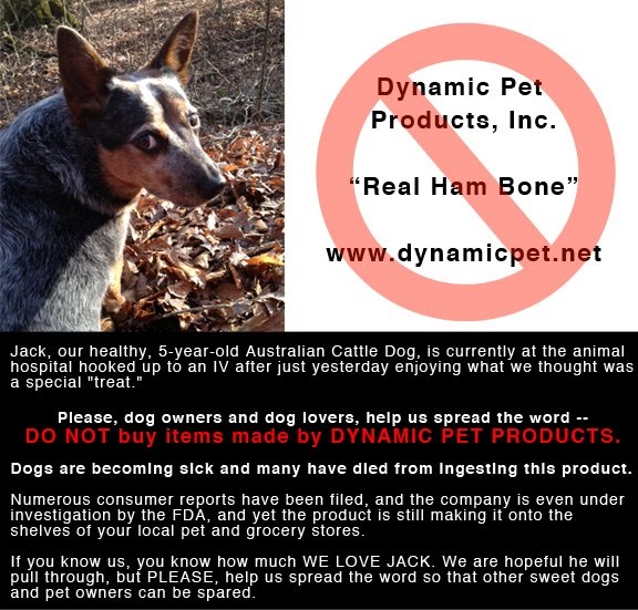 are dogs allowed to have ham bones