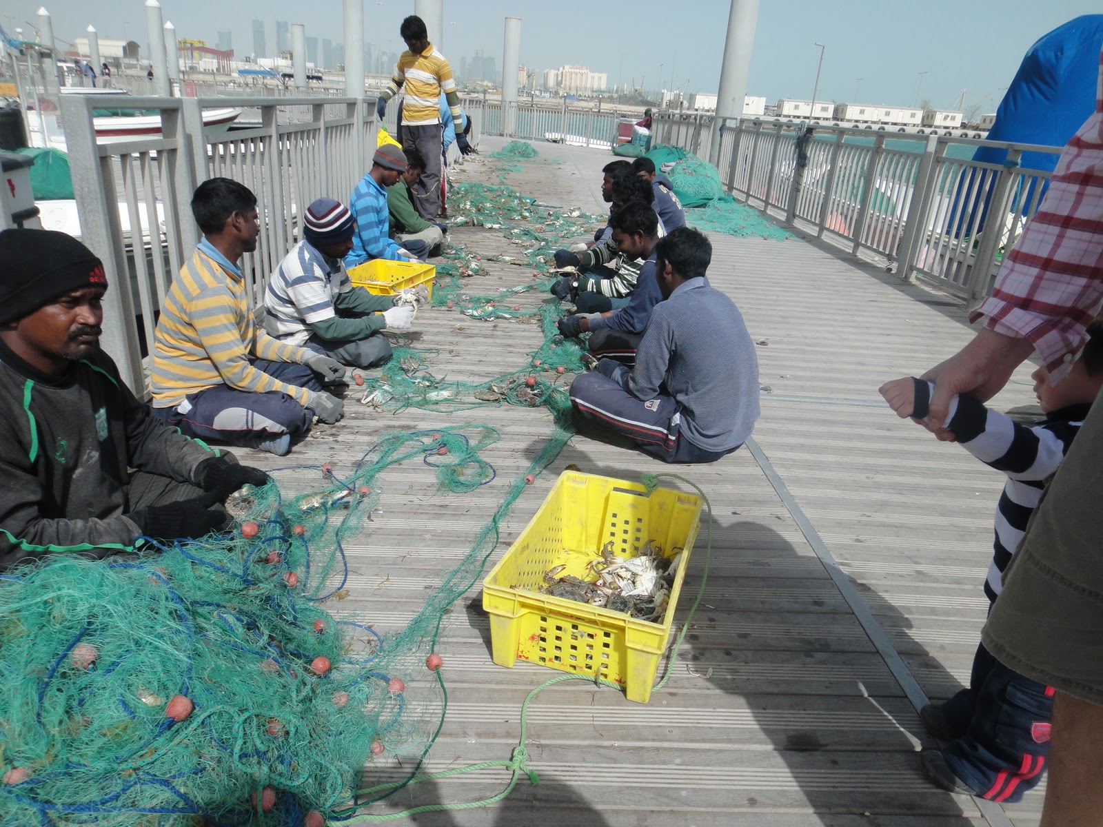 TURKNOY Exploring Doha The Corniche Fishing Harbour