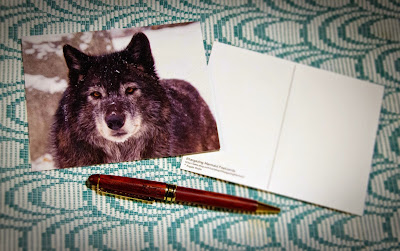 Photo of a postcard and a pen for size reference. The postcard is a photograph of a wolf